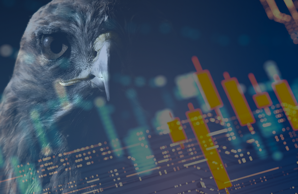 Crypto In the Hawk Claws